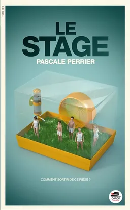 Le stage : comment sortir de ce piège ? | Pascale Perrier