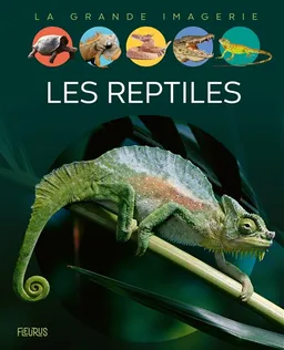 Les reptiles | Cathy Franco
