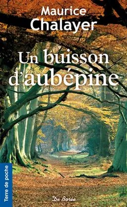 Un buisson d'aubépine | Maurice Chalayer