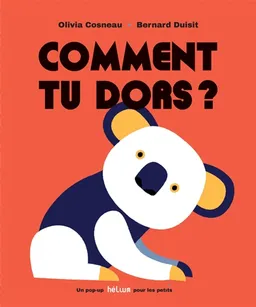 Comment tu dors ? | Olivia Cosneau, Bernard Duisit