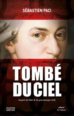 Tombé du ciel : inspiré de faits & de personnages réels | Sébastien Paci