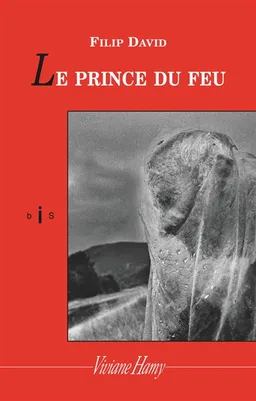 Le prince du feu | Filip David, Marc-Alain Ouaknin