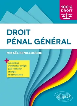 Droit pénal général | Mikaël Benillouche