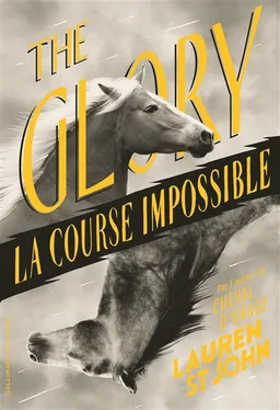 The glory : la course impossible | Lauren St John