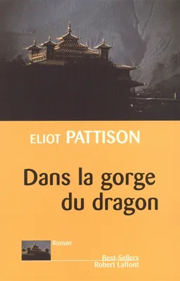 Dans la gorge du dragon | Eliot Pattison