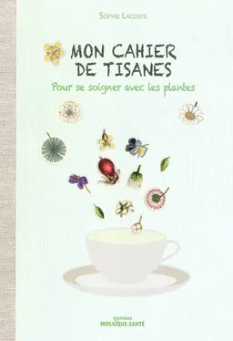Mon cahier de tisanes : pour se soigner avec les plantes | Sophie Lacoste