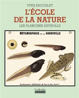 L'école de la nature : les planches Deyrolle | Yves Paccalet
