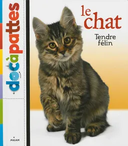 Le chat : tendre félin | Stéphane Frattini, Arioko, agence photo animalière, Yves Calarnou