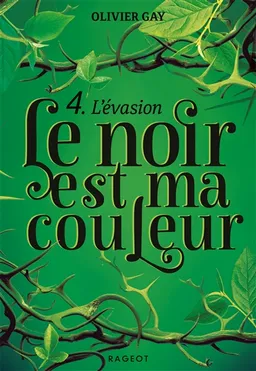 Le noir est ma couleur. Vol. 4. L'évasion | Olivier Gay