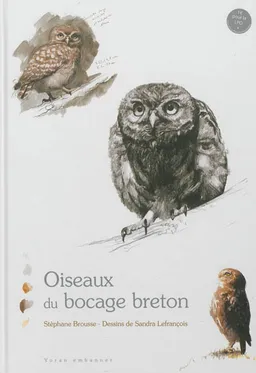 Oiseaux du bocage breton | Stéphane Brousse, Sandra Lefrançois