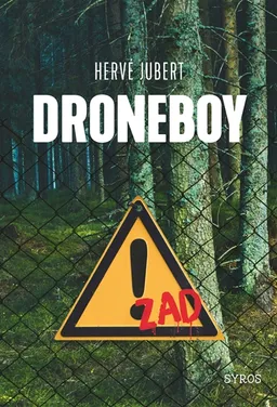 Droneboy | Hervé Jubert