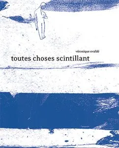 Toutes choses scintillant | Véronique Ovaldé