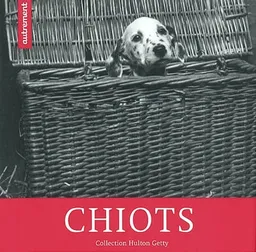 Chiots : collection Hulton Getty | 