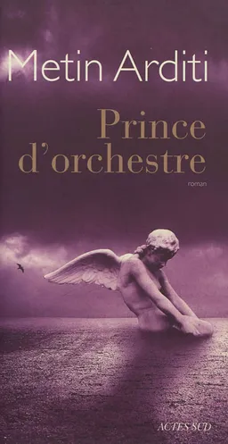 Prince d'orchestre | Metin Arditi