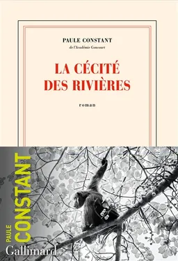 La cécité des rivières | Paule Constant