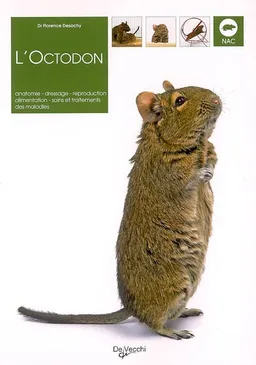 L'octodon | Florence Desachy