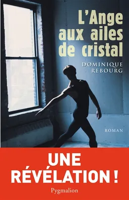L'ange aux ailes de cristal | Dominique Rebourg