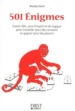 501 énigmes : casse-tête, jeux d'esprit et de logique pour travailler plus (du cerveau) et gagner plus (de plaisir) | Nicolas Conti