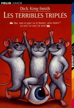 Les terribles triplés | Dick King-Smith, Diz Wallis