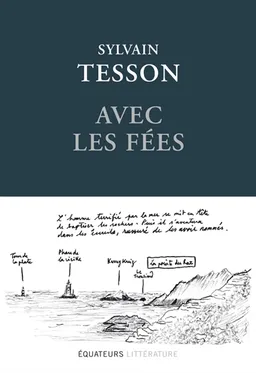 Avec les fées | Sylvain Tesson