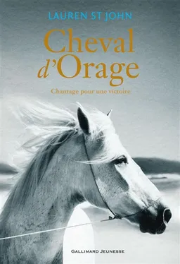 Cheval d'orage. Vol. 2. Chantage pour une victoire | Lauren St John
