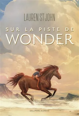 Sur la piste de Wonder | Lauren St John