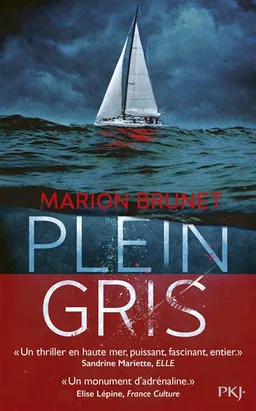 Plein gris | Marion Brunet