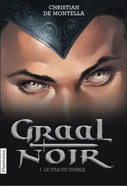 Graal noir. Vol. 1. Le fils du diable | Christian de Montella