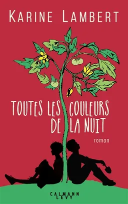 Toutes les couleurs de la nuit | Karine Lambert