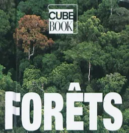 Forêts | Valeria Manferto De Fabianis, Fabrizio Bulgarini