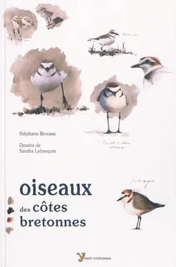 Oiseaux des côtes bretonnes | Stéphane Brousse, Sandra Lefrançois