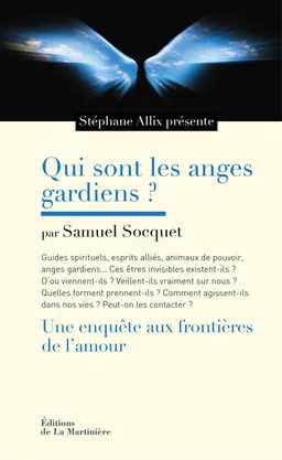 Qui sont les anges gardiens ? : une enquête aux frontières de l'amour | Samuel Socquet, Stéphane Allix