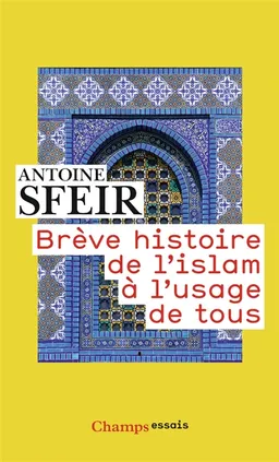 Brève histoire de l'islam à l'usage de tous | Antoine Sfeir
