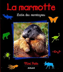 La marmotte : lutin des montagnes | Valérie Tracqui, Serge Simon, Dominique Simon, Dominique Simon