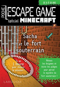Sacha et le fort souterrain : spécial Minecraft | Vincent Raffaitin