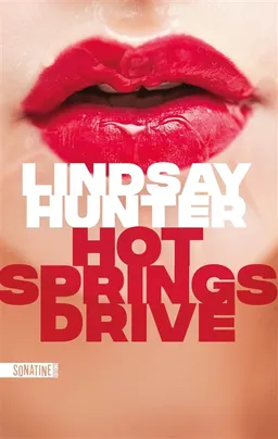 Hot springs drive | Lindsay Hunter
