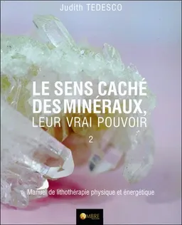 Le sens caché des minéraux, leur vrai pouvoir : manuel de lithothérapie physique et énergétique. Vol. 2 | Judith Tedesco