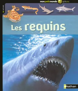 Les requins | Claire Llewellyn