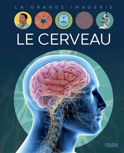 Le cerveau | Cathy Franco, Jacques Dayan, Audrey Bussi