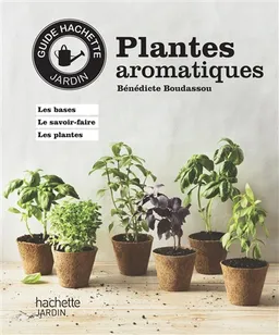 Plantes aromatiques | Bénédicte Boudassou