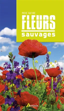 Fleurs sauvages | Jean-Marie Polese
