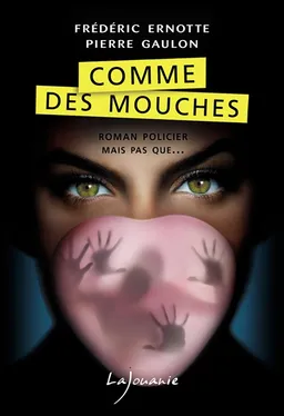 Comme des mouches | Frédéric Ernotte, Pierre Gaulon
