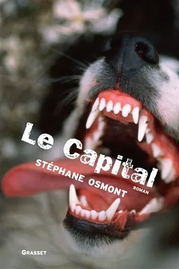 Le capital | Stéphane Osmont