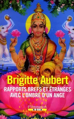 Rapports brefs et étranges avec l'ombre d'un ange | Brigitte Aubert