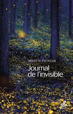 Journal de l'invisible | Brigitte Pietrzak, Tigrane Hadengue