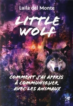 Little wolf : comment j'ai appris à communiquer avec les animaux | Laila Del Monte