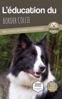 L'éducation du border collie : toutes les astuces pour un border collie bien éduqué | Mouss le chien (site web)