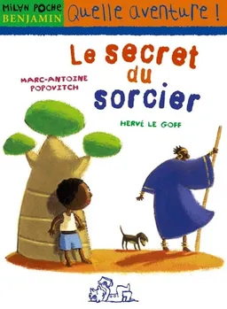 Le secret du sorcier | Marc-Antoine Popovitch, Hervé Le Goff