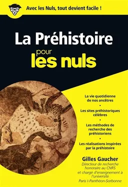 La préhistoire pour les nuls | Gilles Gaucher