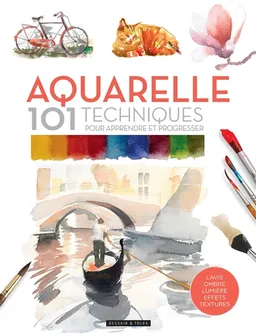 Aquarelle : 101 techniques pour apprendre et progresser : lavis, ombre, lumière, effets, textures | David Sanmiguel, Mercedes Gaspar, Enric Berenguer